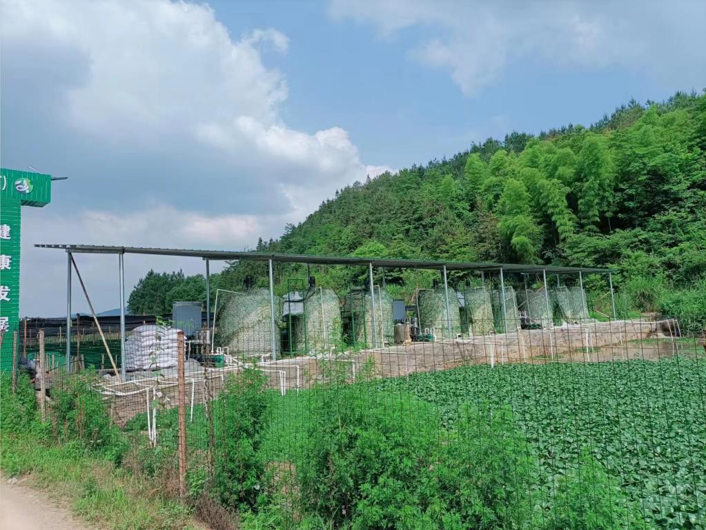 牛蛙养殖（zhí）污水处理（lǐ）除磷加药